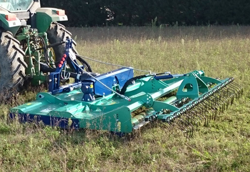 Gren coupe détouré et redimensionnée